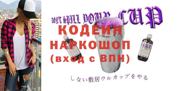 трава Коряжма
