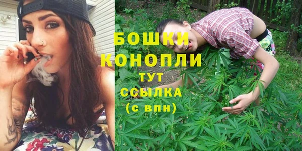 трава Коряжма