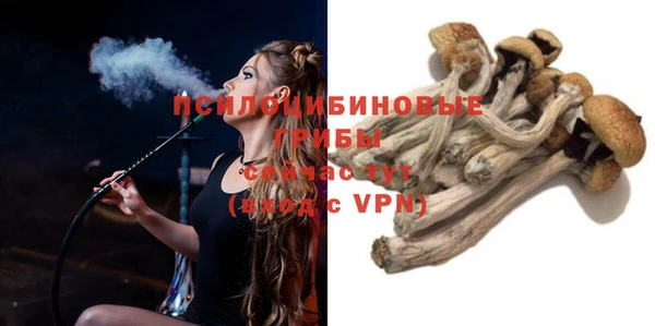 прущие крисы Корсаков