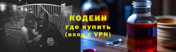 трава Коряжма