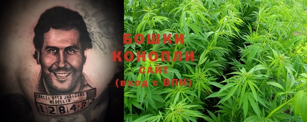 трава Коряжма