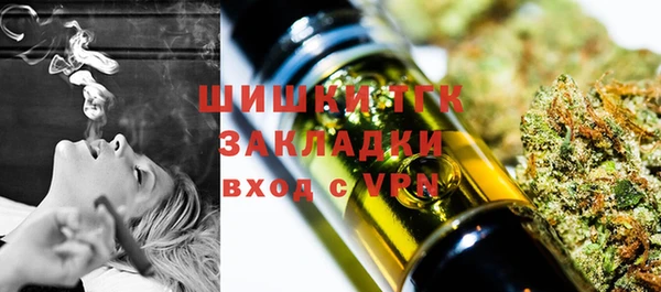 трава Коряжма