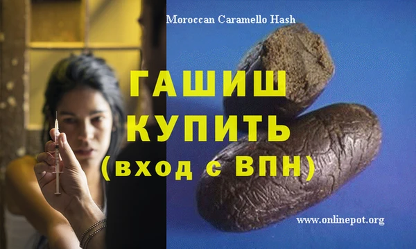 трава Коряжма