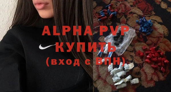 трава Коряжма