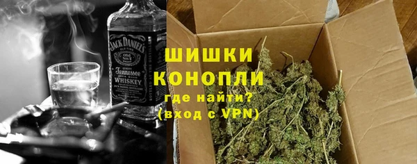 трава Коряжма