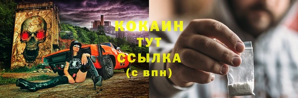 трава Коряжма