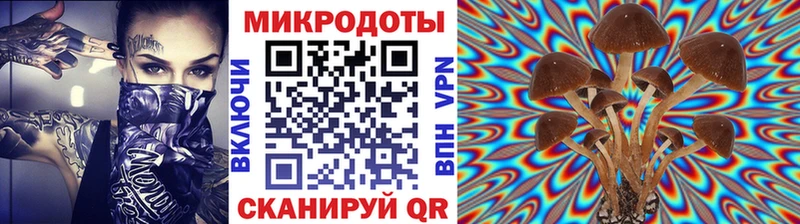Купить где  Рассказово  Галлюциногенные грибы Magic Shrooms 